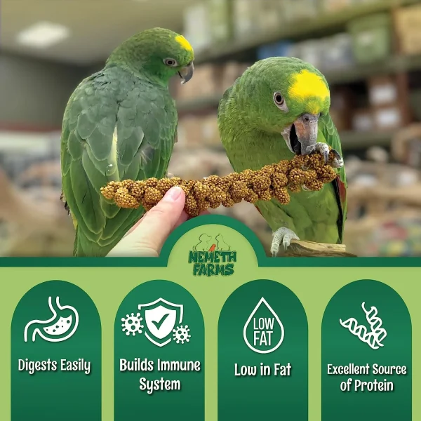 Nemeth Farms Worlds Freshest Spray Millet
