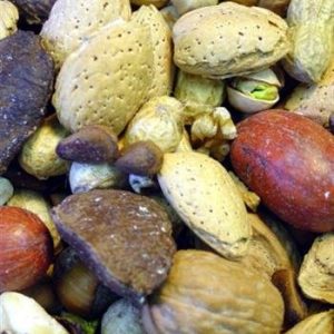 Higgins Boca Nuts Large Bird Treat No Shell, 20 lbs