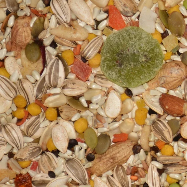 Volkman Avian Super Parrot Food - Image 2