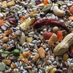 Higgins Safflower Gold Parrot Food